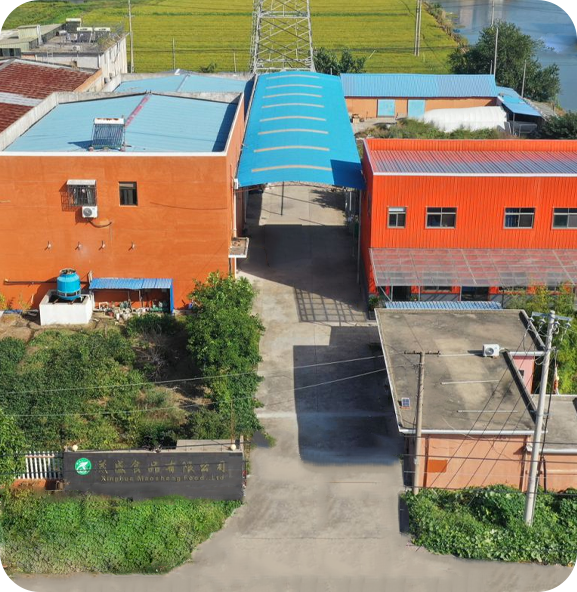 شرکت غذایی Xinghua Maosheng ، Ltd.