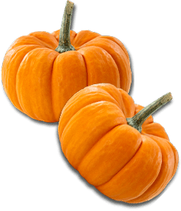 شرکت غذایی Xinghua Maosheng ، Ltd.