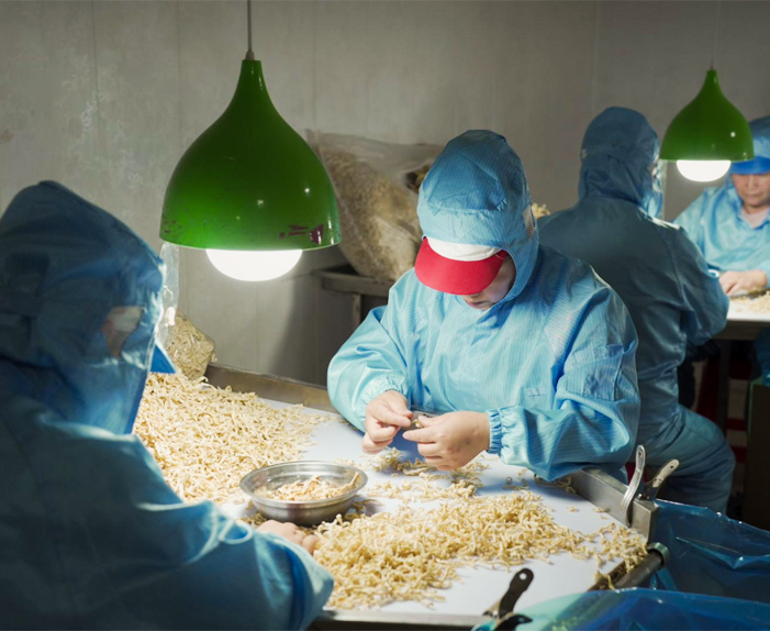 شرکت غذایی Xinghua Maosheng ، Ltd.