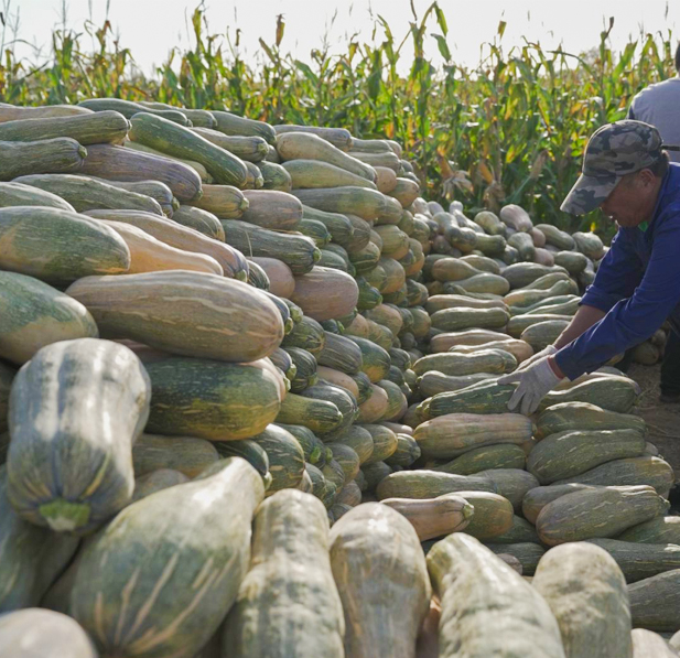 کیفیت و روند