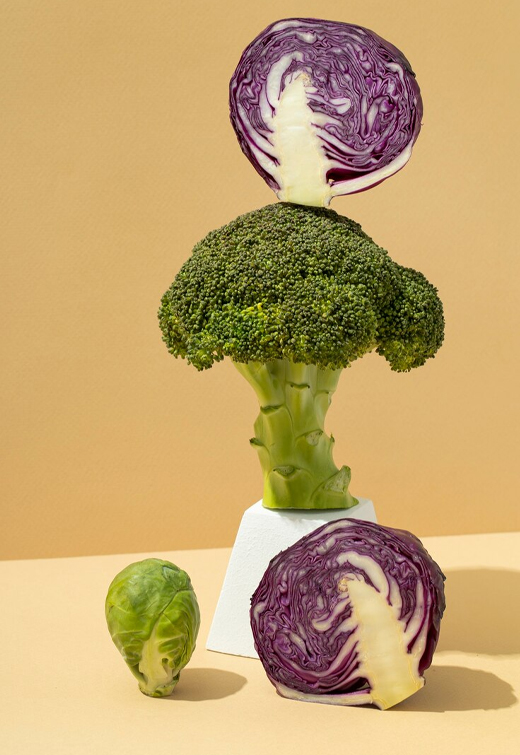 شرکت غذایی Xinghua Maosheng ، Ltd.