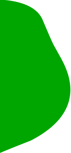 شرکت غذایی Xinghua Maosheng ، Ltd.